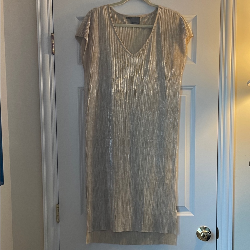Elegant Champagne V-Neck Dress